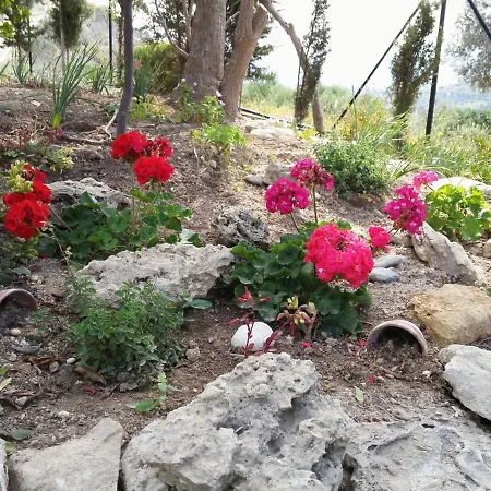 Σπίτι διακοπών Lofos Wood & Stone
